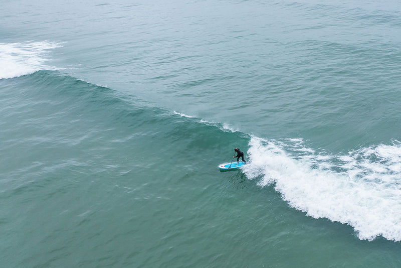 8'10" WHIP MSL 2022